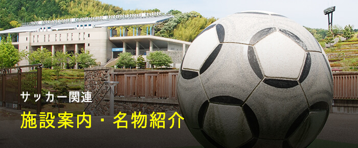 藤枝サッカー サッカーのまち藤枝prホームページ 藤枝市ホームページ