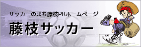 サッカーのまち藤枝PRホームページ 藤枝の歴史は、サッカーの歴史だ 藤枝サッカー