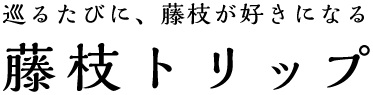 巡るたびに、藤枝が好きになる 藤枝トリップ