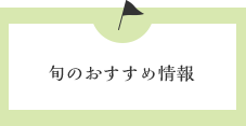 旬のおすすめ情報